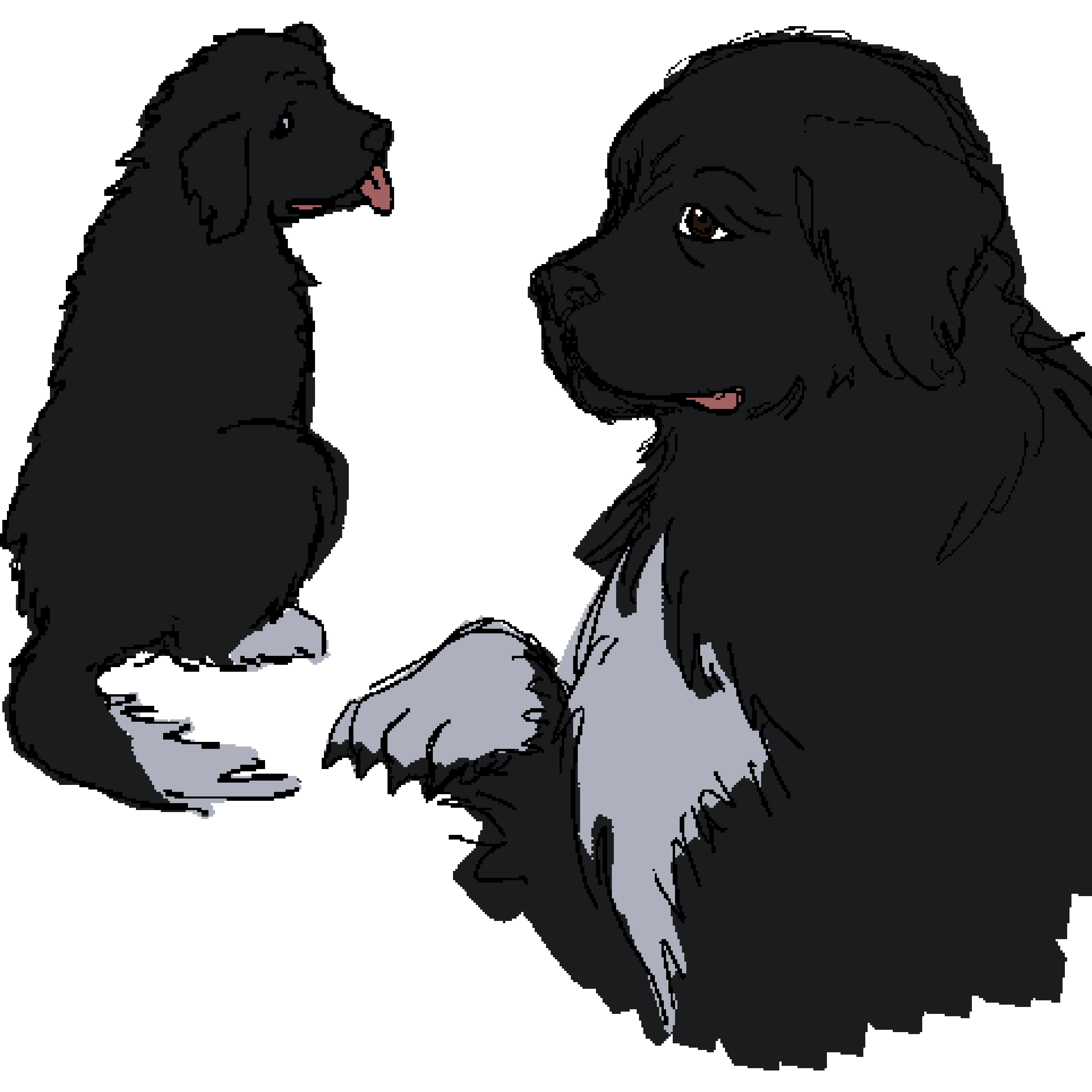 Joliboye, the Chantry's loyal hound